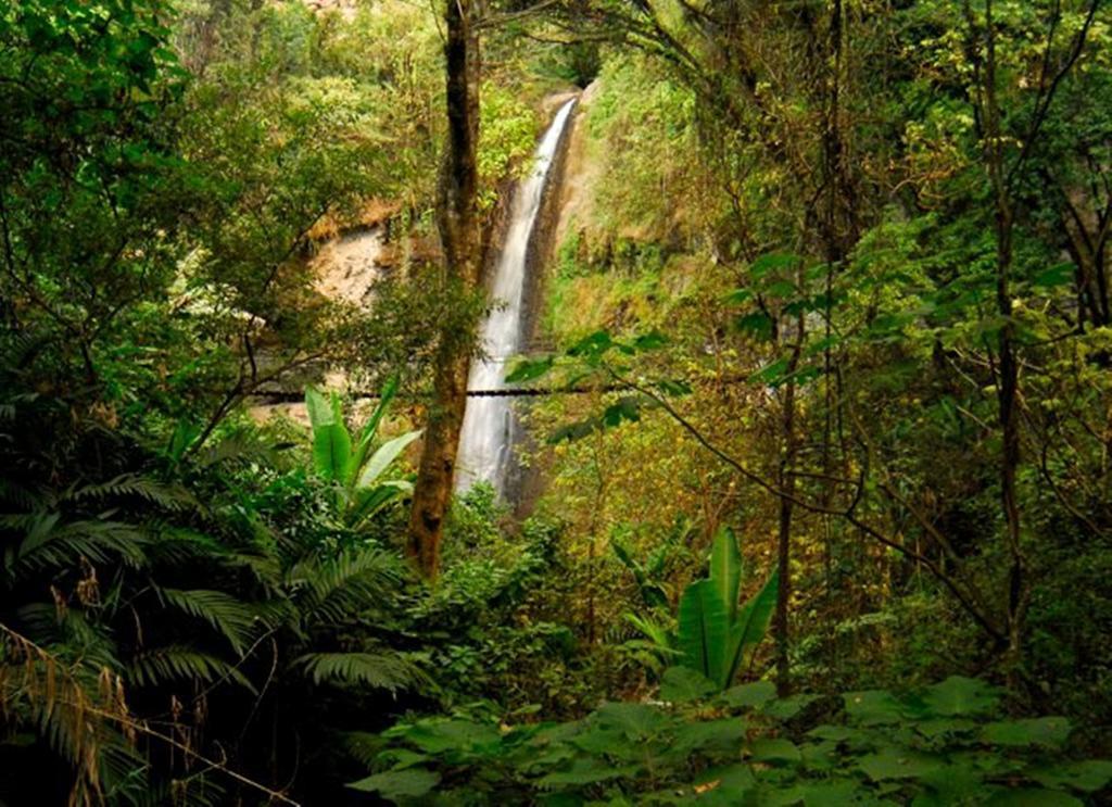 Reserva Natural Atitlan Panajachel Exterior photo